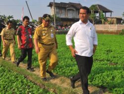 Amran Libatkan Mahasiswa Kelola Sawah dengan ‘Gaji’ Rp10 Juta