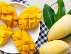 Ini Manfaat Berkelas Makan Mangga, Bisa Bikin Kulit Awet Muda