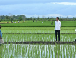 Cetak Sawah Kementan Tak Rugikan Masyarakat