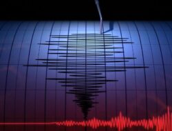 Gempa Dahsyat M 7,3 Guncang Vanuatu, Berpotensi Gelombang Besar