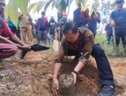 AGP Gelar Aksi Hari Bumi 2025, Tanam Pohon Sampai saat ini Bersih Pantai