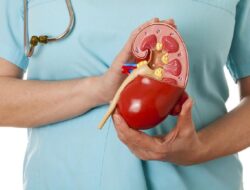 Perhatikan, Ini Tanda Ada Masalah pada Ginjal Menurut Dokter