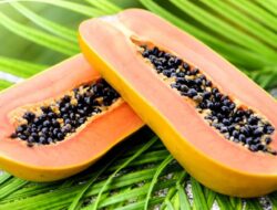 5 Orang yang Dianjurkan Hati-Hati dengan Pepaya, Kamu Salah Satunya?