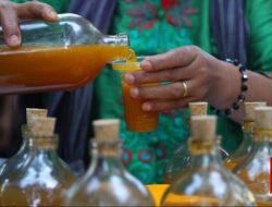 Kemenkes Mulai Giatkan Resep Bahan Alam Sampai saat ini Jamu di Faskes Formal