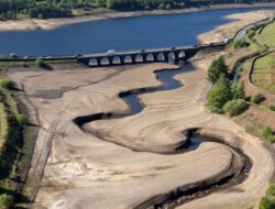 Sungai-sungai Kering Merindukan Air di Inggris