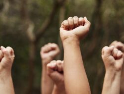 4 Aktivis Greenpeace Dipulangkan Polisi Usai Aksi Ketidaksetujuan Tambang Nikel