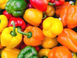 Deret Sayuran untuk Menurunkan Asam Urat dengan Ekonomis