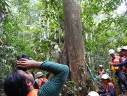 BRIN Gandeng YKAN Riset Satwa Langka di Kaltim