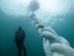 Analisa Hasil Eksplorasi OceanX Bakal Bantu Perikanan Indonesia