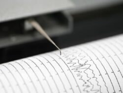 Gempa M5,3 di Perairan Maluku Tenggara, Tak Berpotensi Gelombang Besar