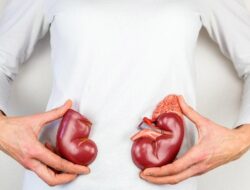 Biar Ginjal Tetap Sehat, Apa Saja Makanan yang Dianjurkan Dihindari?