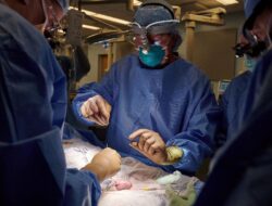 Dokter Beberkan Tantangan Transplantasi Ginjal di Indonesia