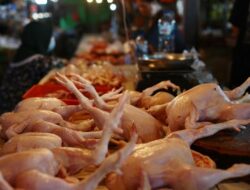 Pedagang Ayam di Tangerang Mengeluh Sepi Pembeli karena Harga Tinggi