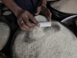 Beras Mulai Tersedia di Medan, Harganya Masih Rp16 Ribu per Kg