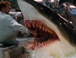 Sinopsis Deep Blue Sea, Bioskop Trans TV 6 September 2025