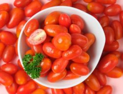 Sobat Sehat Boleh Cek, Tomat Stevia Pada saat ini Sudah Tersedia di Transmart