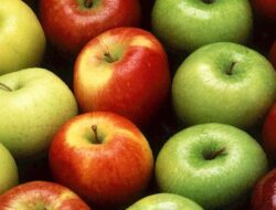 4 Buah yang Sebaiknya Dimakan dengan Kulitnya