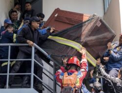 Macan Tutul Masuk Hotel Sampai sekarang Ledakan di Gedung Farmasi Tangsel