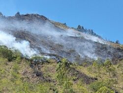 Lereng Gunung Batur Kintamani Terbakar, Diduga karena Puntung Rokok