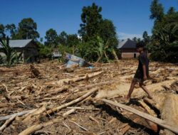 Detik-Detik Bencana Banjir Sapu Satu Desa di Pidie Jaya Aceh