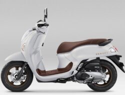 Warna-warna Baru Honda Scoopy 2025, Apa Saja yang Beda?