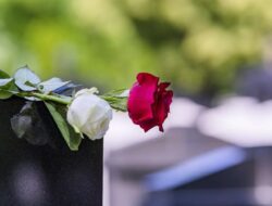 Penulis Skenario Shakespeare in Love Tom Stoppard Meninggal Dunia