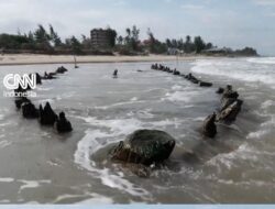 Bangkai Kapal Abad ke-14 Ditemukan usai Topan Kalmaegi