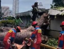 Pramono Sebut Perbaikan Sinyal MRT Berlangsung 4 Jam