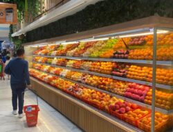Beli Mangga Sampai sekarang Anggur Potongan Harga 20% di Transmart Full Day Potongan Harga