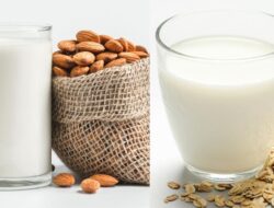 Minum Susu Oat Tiap Hari? Ini 7 Dampak Kesehatan yang Wajib Diketahui