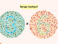 Tes IQ Sekaligus Cek Kondisi Mata, Bisa Tebak Hasilnya Berapa?