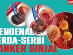 Waspadai Kanker Ginjal, Pola Makan Seperti Ini Bisa Tingkatkan Risiko