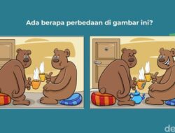 Temukan Perbedaan di Gambar Ini! Boleh Sambil Dizoom Kok Layarnya Kalau Dianjurkan