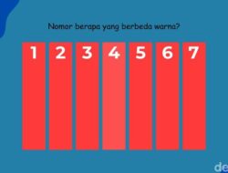 Nggak Harus Brightness Maksimal, Bisakah Temukan Warna yang Berbeda di Sini?