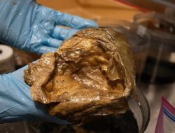 Misteri Telur Emas Diduga Terkait dengan Alien Terungkap