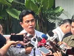 Yusril: Pemerintah Tak Larang Pemutaran Sinema Pesta Babi