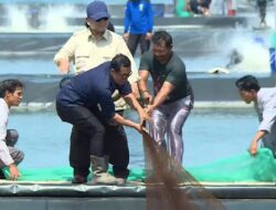 Prabowo Ikut Panen Udang dengan Petambak di Kebumen