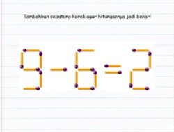 Tes Kemampuan Matematika dan Logika Cukup Pakai Korek Api, Bisa Selesaikan?