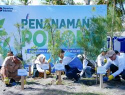 PLN EPI Tanam 2.500 Cemara Udang untuk Lindungi Pesisir Lombok
