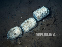 Kuburan Paus Terbesar dan Terdalam di Dunia Terungkap, Lebih Misterius dari Luar Angkasa?