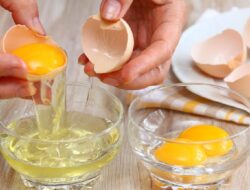 Ini Deretan Makanan Unggul untuk Jaga Fungsi Ginjal, Bisa Cegah Cuci Darah