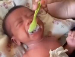 Viral Bayi 2 Minggu Dipaksa Makan Bubur, Bikin Dokter Marah Banget! : Okezone Women
