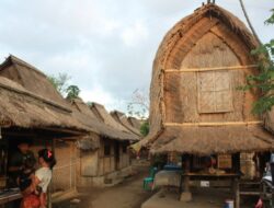 Mengenal Suku Sasak dan Desa Adat Sade yang Ludes Dilalap Api : Okezone Women
