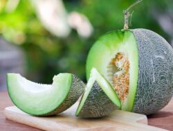 Tips Memilih Buah Melon yang Manis dan Segar