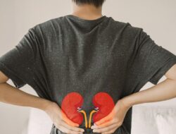 Ilmuwan Urologi Ungkap Alasan Kasus Batu Ginjal di RI Tinggi