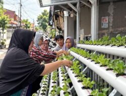 PNM Sulap Lorong Kota Jadi Kebun Produktif, Bantu Nasabah Mekaar Berkualitas Belanja